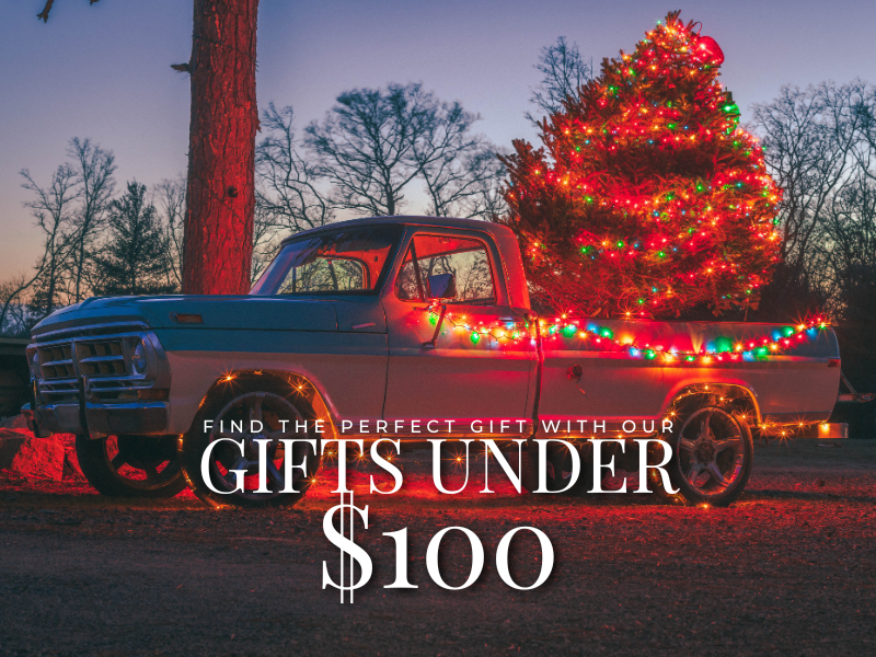 Gifts Under $100